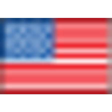 Labelmaster American Flag Labels, Paper, Pk500 USA25 | Zoro