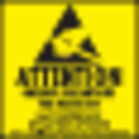 Labelmaster Attention Observe Prec Hand Label, 2", Pk500 SA20R