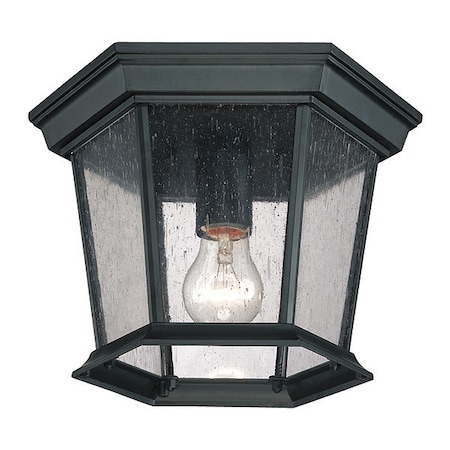 Acclaim Lighting Ceiling Hanging, 1-Light, Matte Black 5275BK/SD