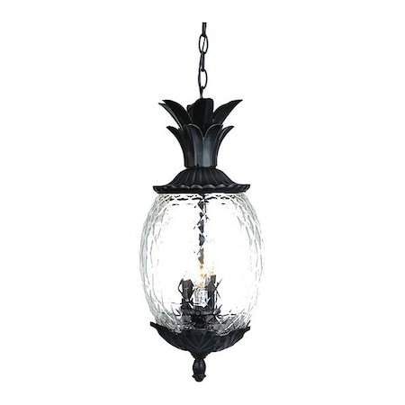 Acclaim Lighting Hanging Light, Black Coral, 3-Light, Height: 21" 7516BK