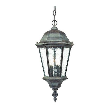 Acclaim Lighting Hanging Light, Black Coral, 2-Light, Height: 20" 5516BC
