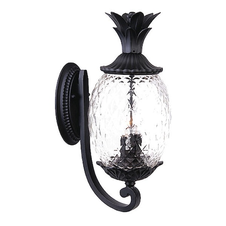 Acclaim Lighting Wall Light, Matte Black, 3-Light 7511BK