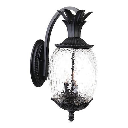 Acclaim Lighting Wall Light, Matte Black, 3-Light 7512BK