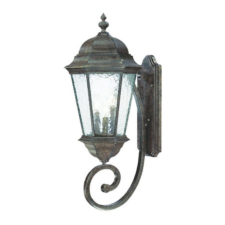 Acclaim Lighting Wall Light, Black Coral, 3-Light 5521BC