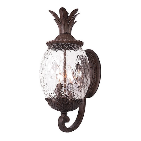 Acclaim Lighting Wall Light, Black Coral, 3-Light 7511BC