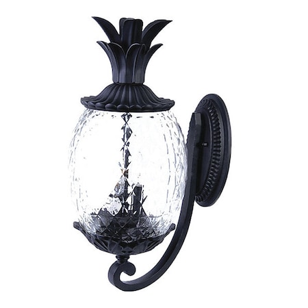 Acclaim Lighting Wall Light, Matte Black, 2-Light 7501BK