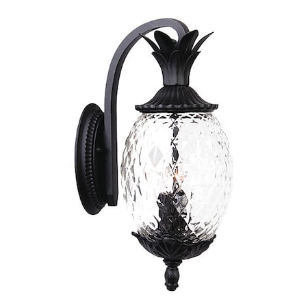 Acclaim Lighting Wall Light, Matte Black, 2-Light 7502BK