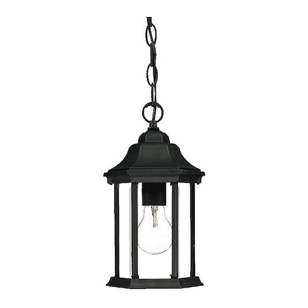 Acclaim Lighting Hanging Light, Matte Black, 1-Light, Height: 12" 5185BK