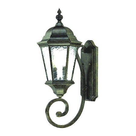 Acclaim Lighting Wall Light, Black Coral, 2-Light 5511BC