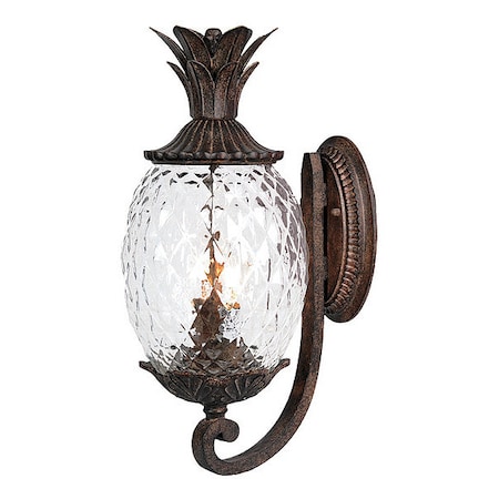 Acclaim Lighting Wall Light, Black Coral, 2-Light 7501BC