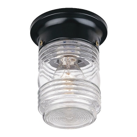 Acclaim Lighting Ceiling Light, Matte Black, 1-Light 101BK