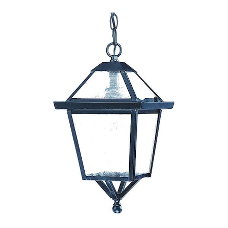 Acclaim Lighting Hanging Light, Matte Black, 1-Light, Height: 14" 7616BK