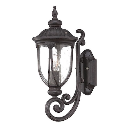 Acclaim Lighting Wall Light, Black Coral, 1-Light 2201BC