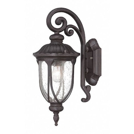 Acclaim Lighting Wall Light, Black Coral, 1-Light 2202BC