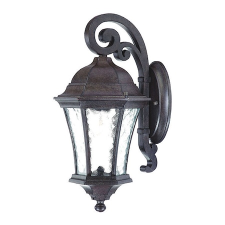 Acclaim Lighting Wall Light, Black Coral, 1-Light 3602BC