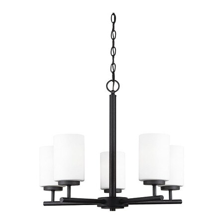 Sea Gull Five Light Chandelier, Blacksmith 31161EN-839