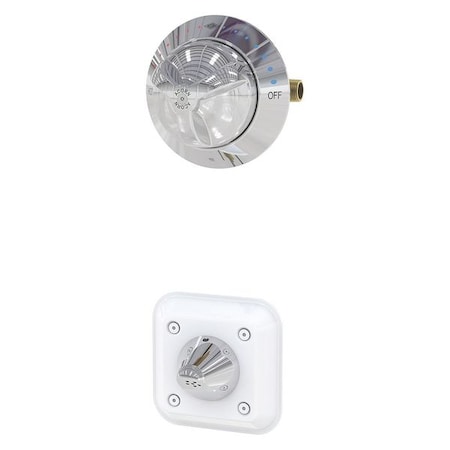 Bestcare Shower System, 1.60 gpm, Wall Mounting WH538-CTS
