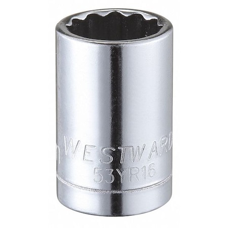 Westward WESTWARD 1/4 in Drive, 10mm Triple Square Metric Socket, 12 Points, Steel, Chrome, 10 mm 53YR16
