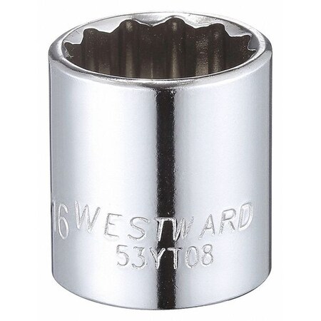 Westward WESTWARD 3/8 in Drive, 11/16" Triple Square SAE, Socket, 12 Points, Steel, Chrome, 11/16 in 53YT08