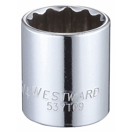 Westward WESTWARD 3/8 in Drive, 3/4" Triple Square SAE, Socket, 12 Points, Steel, Chrome, 3/4 in 53YT09