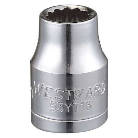 Westward WESTWARD 3/8 in Drive, 8mm Triple Square Metric, Socket, 12 Points, Steel, Chrome, 8 mm 53YT16