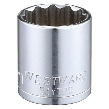 Westward WESTWARD 3/8 in Drive, 21mm Triple Square Metric Socket, 12 Points, Steel, Chrome, 21 mm 53YT29
