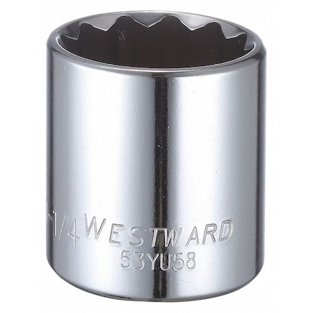 Westward WESTWARD 1/2 in Drive, 1-1/4" Triple Square SAE, Socket, 12 Points, Steel, Chrome, 1 1/4 in 53YU58