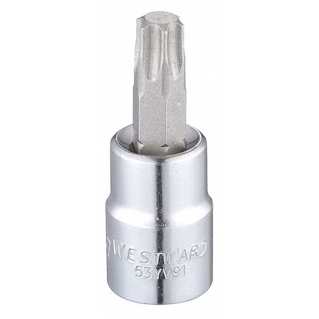 Westward 3/8 in Drive Torx(R) Socket Bit Torx(R) T47 Tip, 1 15/16 in L 53YV91
