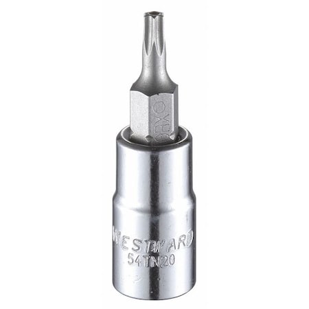 Westward 1/4 in Drive Tamper Resistant Torx(R) Socket Bit SAE T15 Tip, 1 1/2 in L 54TN20