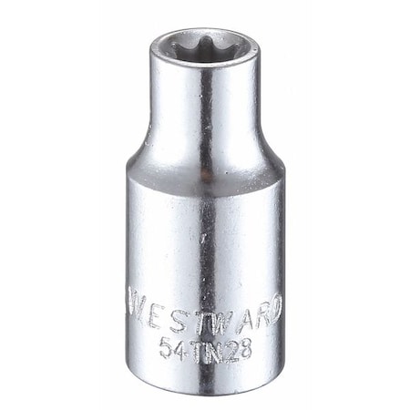 Westward 1/4 in Drive Torx(R) Socket SAE E-6 Tip, 1 13/16 in L 54TN28