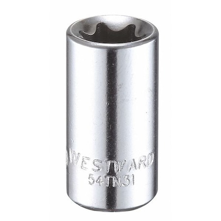 Westward 1/4 in Drive Torx(R) Socket SAE E-10 Tip, 1 7/32 in L 54TN31