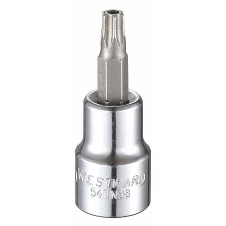 Westward 3/8 in Drive Tamper Resistant Torx(R) Socket Bit SAE T30 Tip, 1 3/4 in L 54TN38