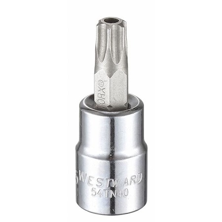 WESTWARD 3/8 in Drive Tamper Resistant Torx(R) Socket Bit Torx(R) T45 Tip, 1 3/4 in L 54TN40