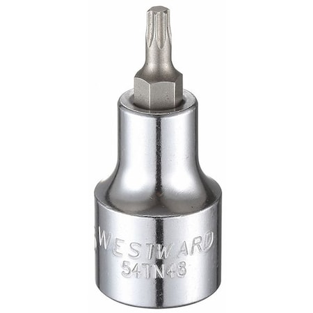 Westward 1/2 in Drive Torx(R) Socket Bit SAE T25 Tip, 2 1/4 in L 54TN48