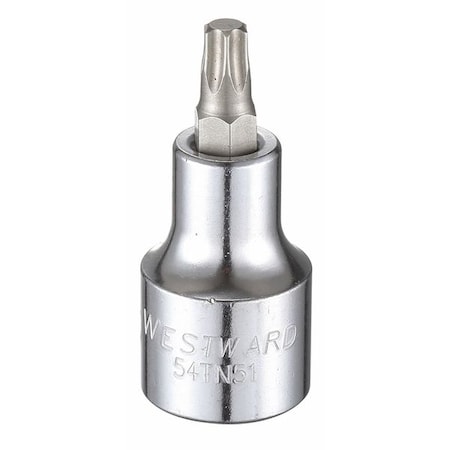 Westward 1/2 in Drive Torx(R) Socket Bit SAE T40 Tip, 2 1/4 in L 54TN51