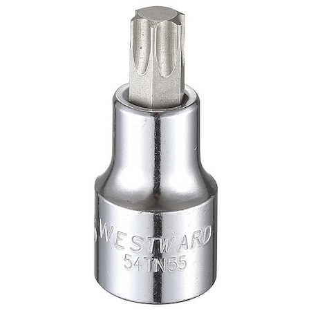 Westward 1/2 in Drive Torx(R) Socket Bit SAE T55 Tip, 2 1/2 in L 54TN55
