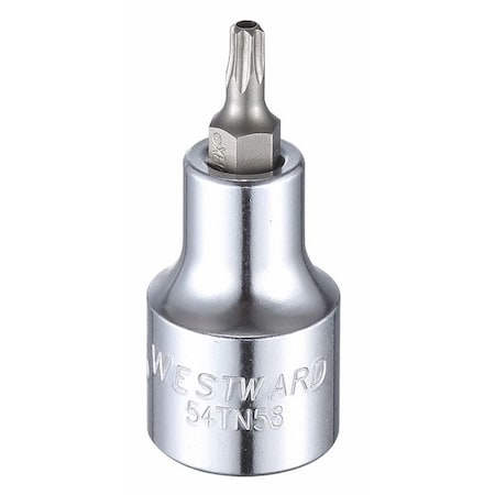 Westward 1/2 in Drive Tamper Resistant Torx(R) Socket Bit SAE T25 Tip, 2 1/4 in L 54TN58