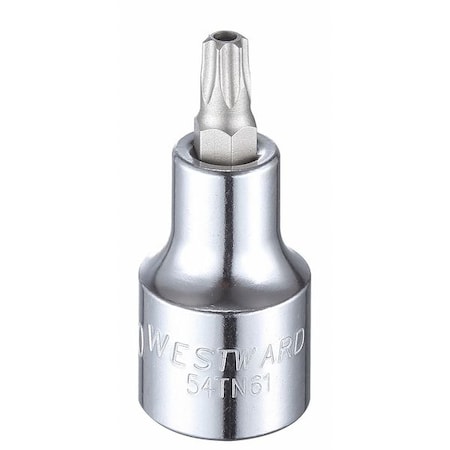 Westward 1/2 in Drive Tamper Resistant Torx(R) Socket Bit SAE T40 Tip, 2 1/4 in L 54TN61