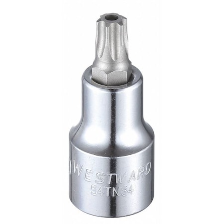 Westward 1/2 in Drive Tamper Resistant Torx(R) Socket Bit SAE T50 Tip, 2 1/4 in L 54TN64