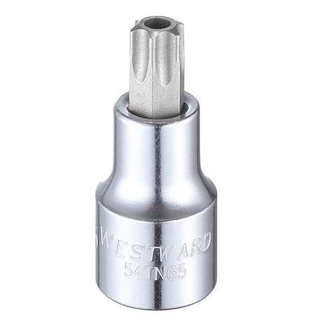 Westward 1/2 in Drive Tamper Resistant Torx(R) Socket Bit SAE T55 Tip, 2 1/2 in L 54TN65