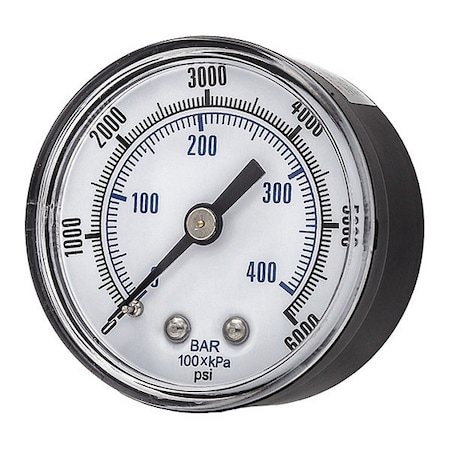 Pic Gauges Industrial Pressure Gauge, 0 to 6,000 psi, 2 in Dial, 1/4 in NPT, Center Back Location SEP-102D-204S