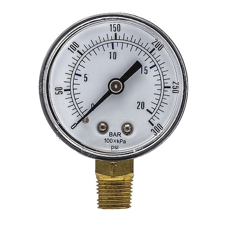 Pic Gauges Industrial Pressure Gauge, 0 to 300 psi, 2 in Dial, 1/4 in BSPT, Bottom Location SEP-101D-204H-BSPT