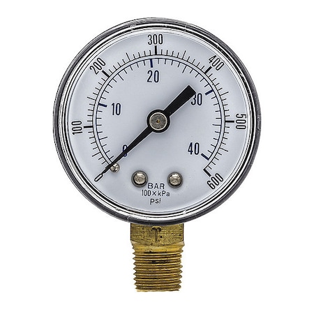 Pic Gauges Industrial Pressure Gauge, 0 to 600 psi, 2 in Dial, 1/4 in BSPT, Bottom Location SEP-101D-204K-BSPT