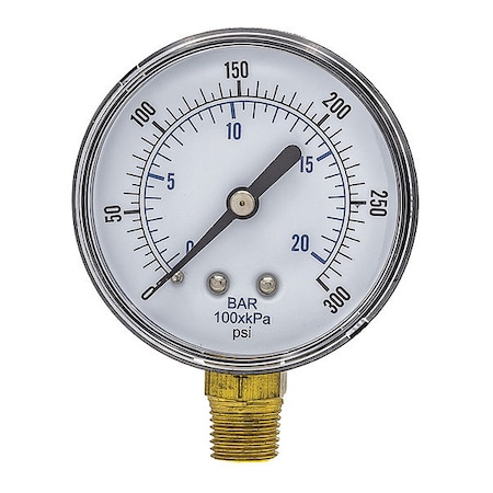 Pic Gauges Industrial Pressure Gauge, 0 to 300 psi, 2 1/2 in Dial, 1/4 in BSPT, Bottom Location SEP-101D-254H-BSPT