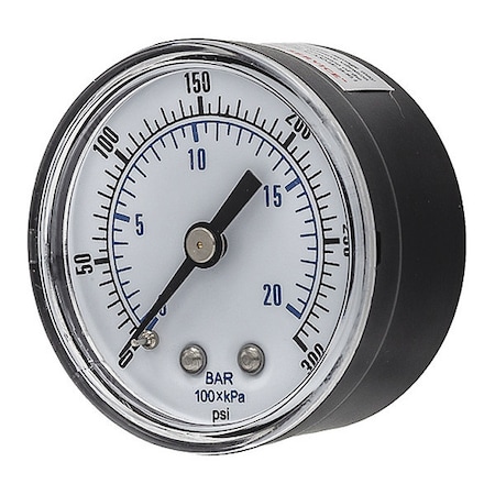 Pic Gauges Industrial Pressure Gauge, 0 to 300 psi, 2 in Dial, 1/4 in BSPT, Center Back Location SEP-102D-204H-BSPT