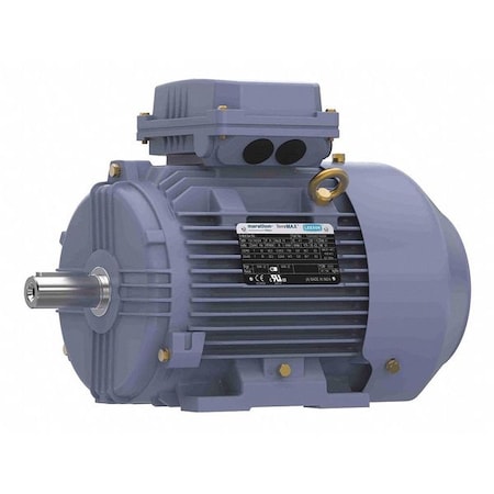 Marathon Metric Motor, 4 HP, 3,499 RPM, 230/460V TCA0031AE211GAA009