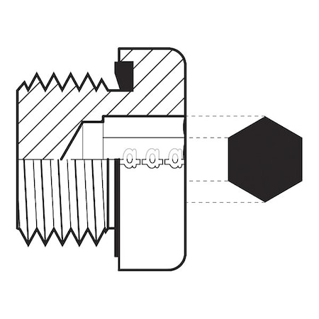 Adaptall Hose Adapter, 1", BSPP 9028-16