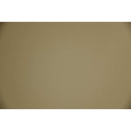 Acrovyn Rubstrip, Classic Maple, PETG, 10 ft L WC60410NP103N
