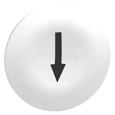 Schneider Electric Push Button Head, Marked, 22mm, White ZBA7134