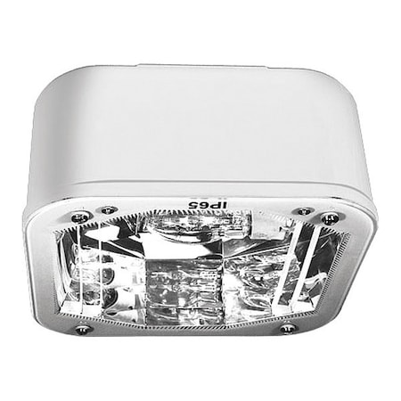 Dabmar Lighting Fixture, Medium, Square, Ceiling DW8850-W